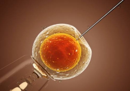 寧波試管助孕公司：靜脈曲張會不會遺傳，這些治療方式能有效幫助解決煩惱