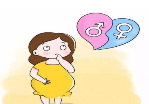 懷孕6個月的孕肚變化，這些事項孕媽媽要知道