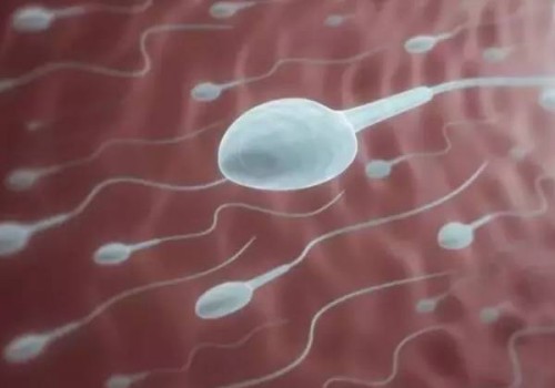 為什么懷孕吃螃蟹會(huì)流產(chǎn)，原因可能是這個(gè)