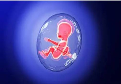 出現(xiàn)睪丸扭轉(zhuǎn)要當(dāng)心了，避免影響男性生育能力