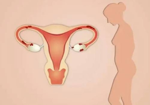 寧波供精試管：新生兒腸道發(fā)育不良危害大！家長要著重預防，否則易耽誤發(fā)育