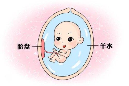 內(nèi)膜薄對(duì)女性的生育功能有影響，內(nèi)膜偏低可能會(huì)導(dǎo)致不孕