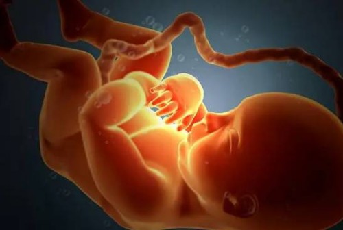 北京大學(xué)人民醫(yī)院供卵試管生男孩費(fèi)用明細(xì)，附供卵試管條件