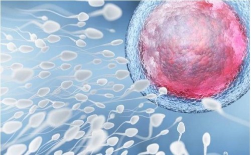凍精和鮮精哪個(gè)進(jìn)行配胚胎好？