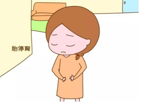 寧波供卵試管：高齡移植兩個(gè)成功率比一個(gè)高，還要考慮這些因素