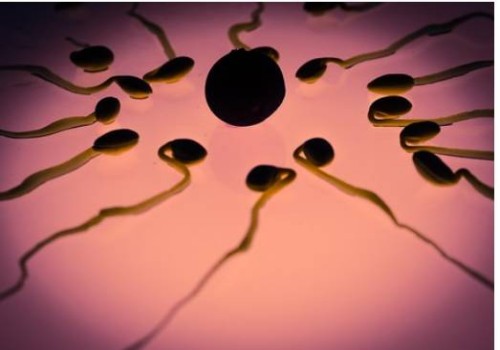 取卵后出現(xiàn)腹水用白蛋白消除效果好，具體需要使用幾天因人而異