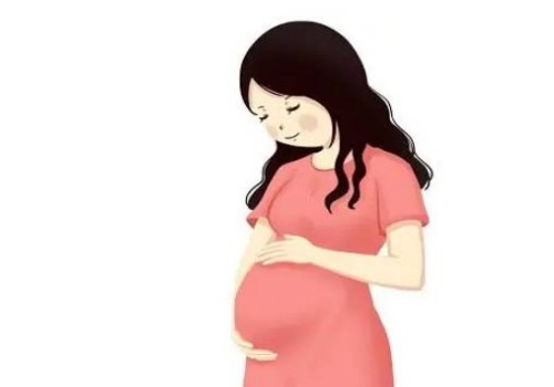 精子白細(xì)胞高的原因,教你幾個治療小妙招