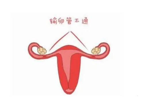 寧波助孕公司：備孕夫妻這樣做更容易懷孕，照這樣做讓你更快當爸媽