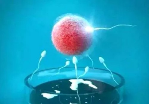 孕囊偏小吃紅薯真有效嗎，醫(yī)生：并無(wú)科學(xué)依據(jù)