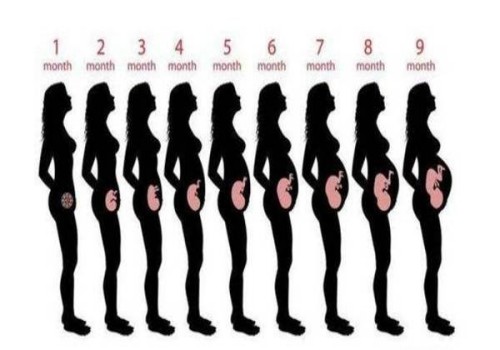 孕婦順產(chǎn)之前需要多少次的內(nèi)檢檢查？