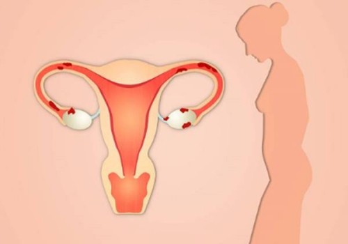 科學(xué)備孕生男生女的方法一覽，附備孕期間的注意事項(xiàng)_1