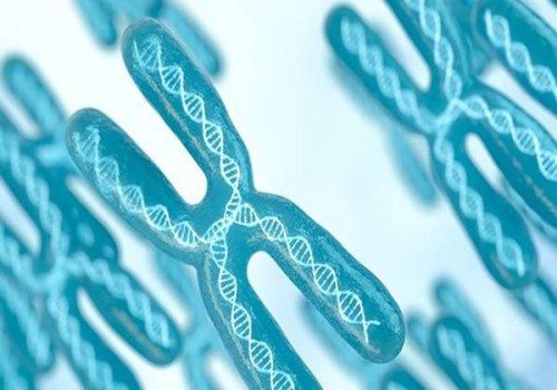 助力卵泡發(fā)育的食物清單，讓你的卵泡更好地發(fā)育。