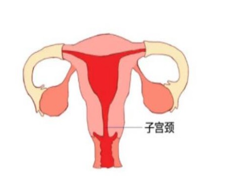 寧波助孕：順產(chǎn)和剖腹產(chǎn)優(yōu)缺點(diǎn)對(duì)比，給準(zhǔn)媽媽帶來(lái)最全面介紹